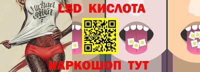 индика Лесосибирск