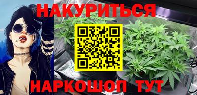 индика Лесосибирск