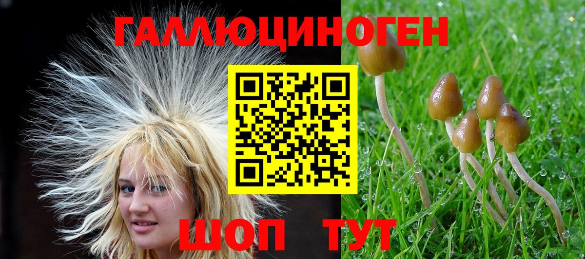 Псилоцибиновые грибы мухоморы  Сургут 