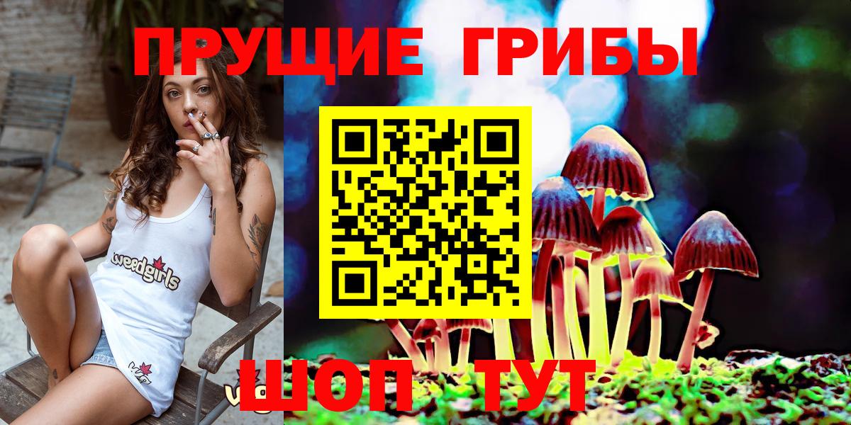 Псилоцибиновые грибы ЛСД Сургут