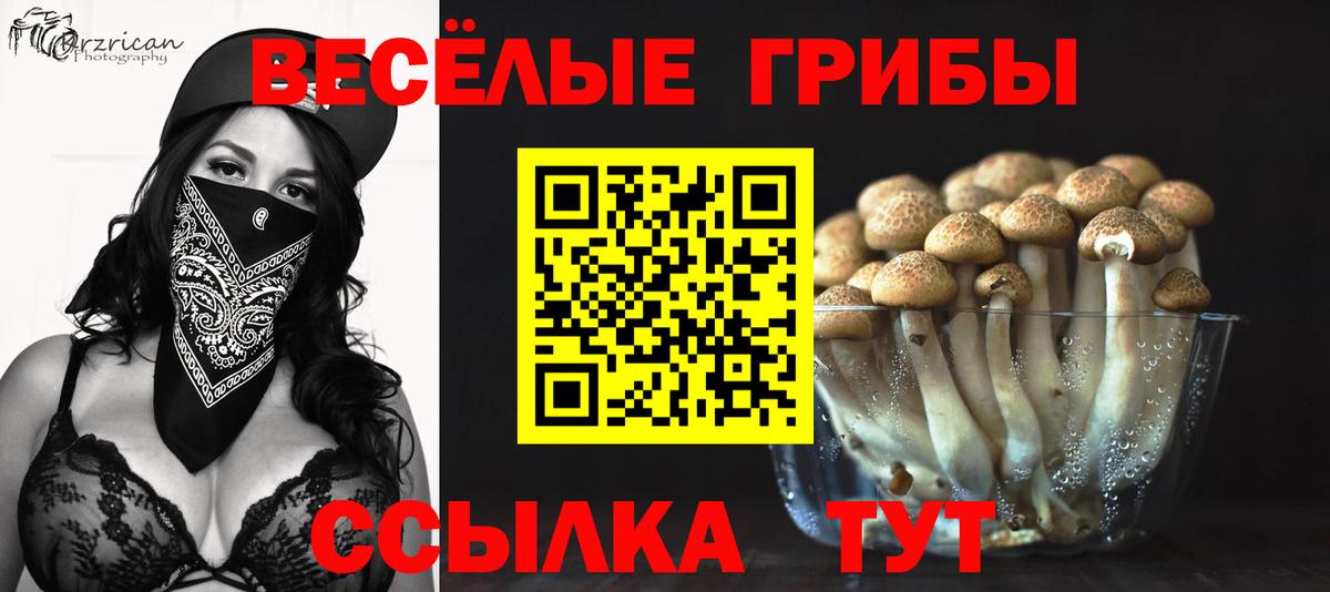 Галлюциногенные грибы прущие грибы  Вход с VPN  Сургут 